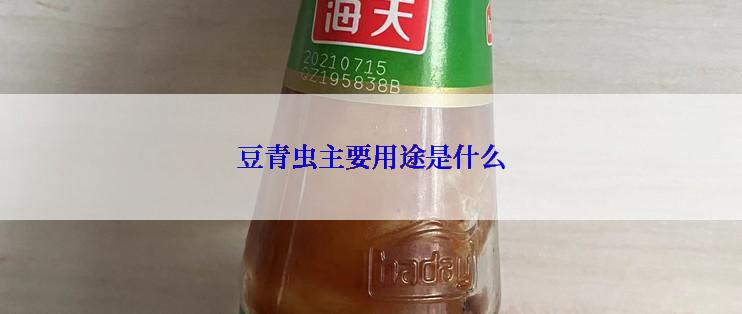 豆青虫主要用途是什么