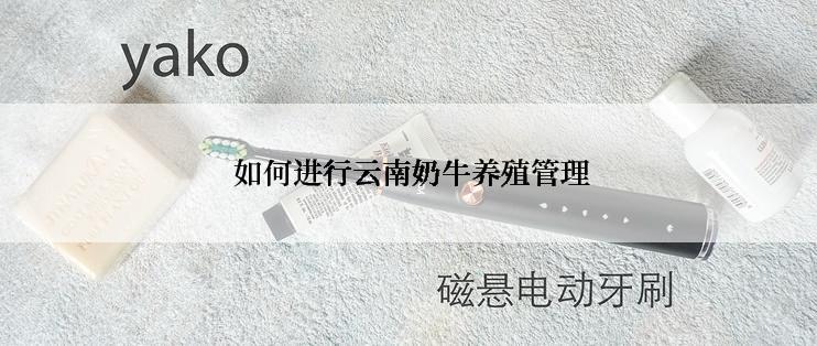  如何进行云南奶牛养殖管理