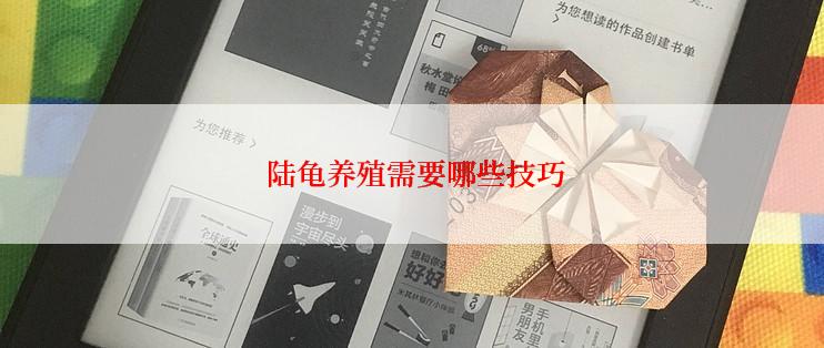  陆龟养殖需要哪些技巧