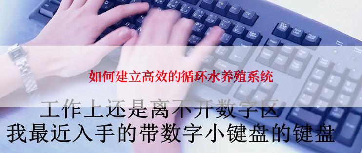 如何建立高效的循环水养殖系统