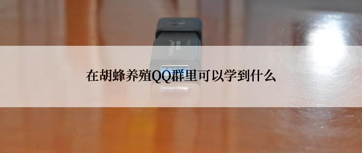 在胡蜂养殖QQ群里可以学到什么