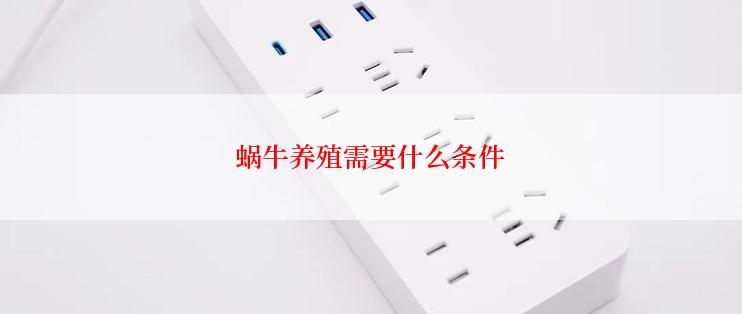 蜗牛养殖需要什么条件