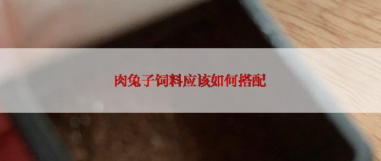 肉兔子饲料应该如何搭配