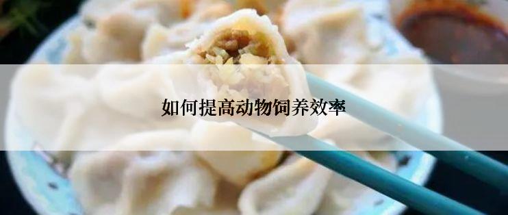 如何提高动物饲养效率