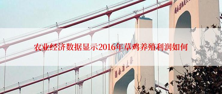 农业经济数据显示2016年草鸡养殖利润如何