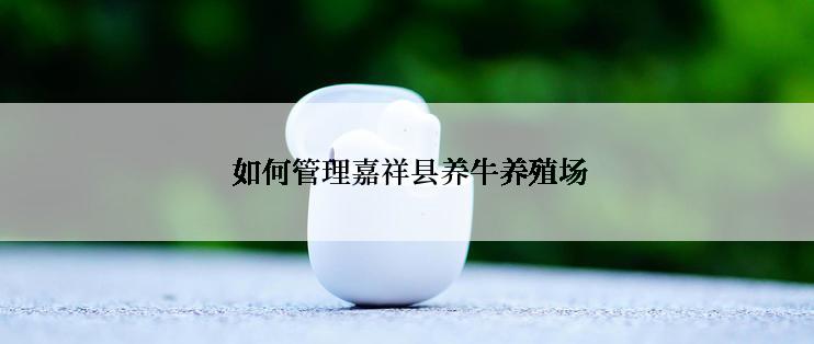  如何管理嘉祥县养牛养殖场