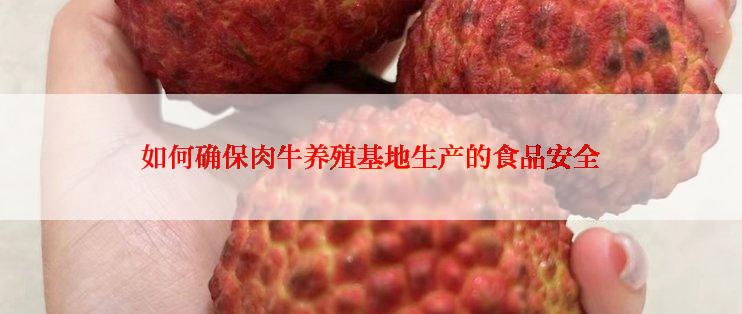 如何确保肉牛养殖基地生产的食品安全