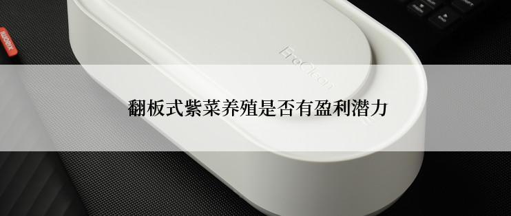  翻板式紫菜养殖是否有盈利潜力