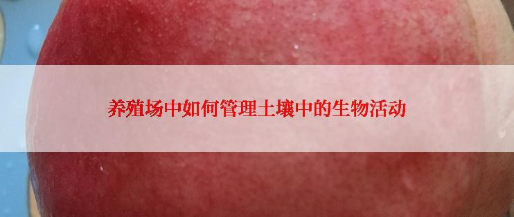 养殖场中如何管理土壤中的生物活动