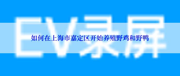 如何在上海市嘉定区开始养殖野鸡和野鸭