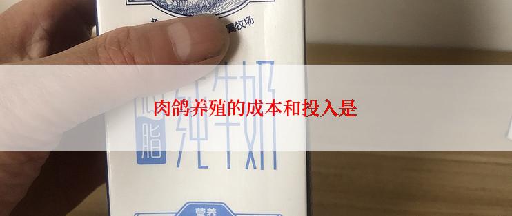 肉鸽养殖的成本和投入是