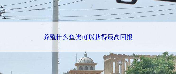 养殖什么鱼类可以获得最高回报