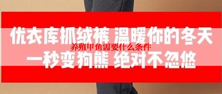 养殖甲鱼需要什么条件