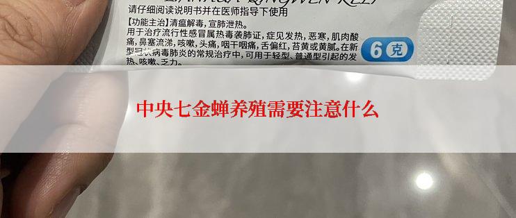 中央七金蝉养殖需要注意什么