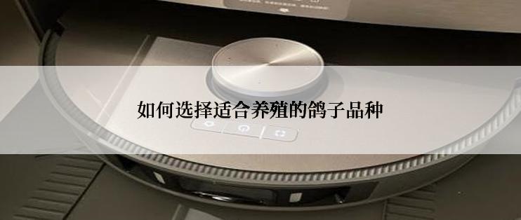 如何选择适合养殖的鸽子品种