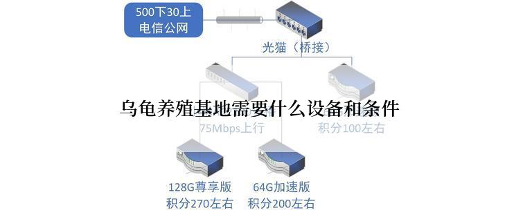  乌龟养殖基地需要什么设备和条件