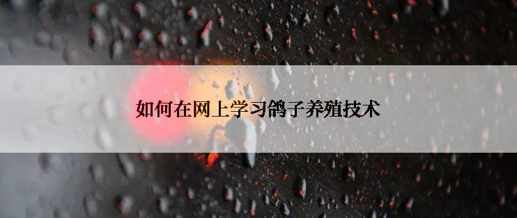 如何在网上学习鸽子养殖技术