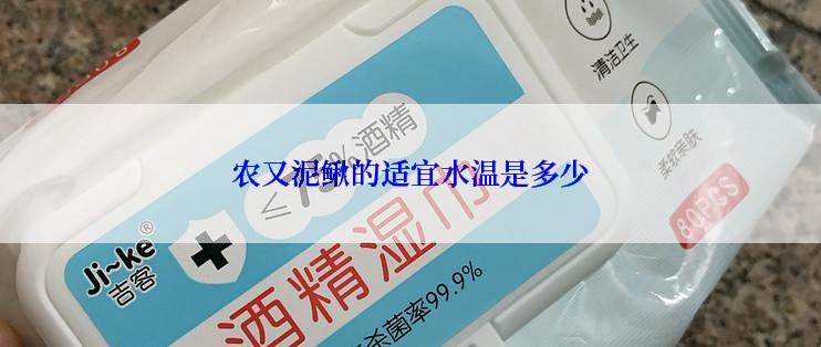 农又泥鳅的适宜水温是多少