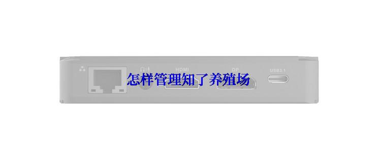 怎样管理知了养殖场