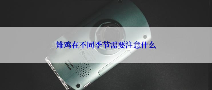 雉鸡在不同季节需要注意什么