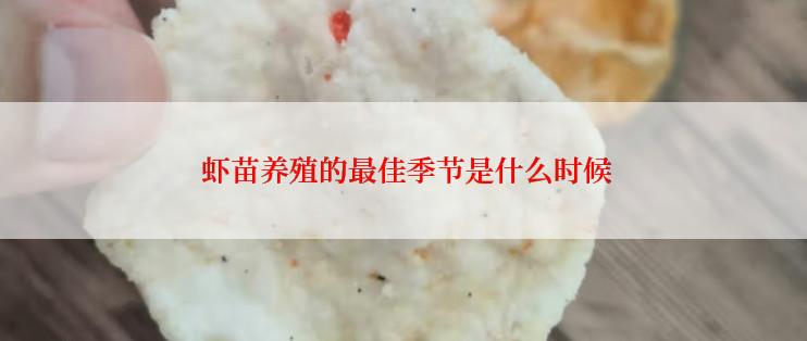  虾苗养殖的最佳季节是什么时候