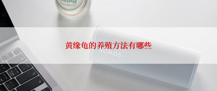 黄缘龟的养殖方法有哪些