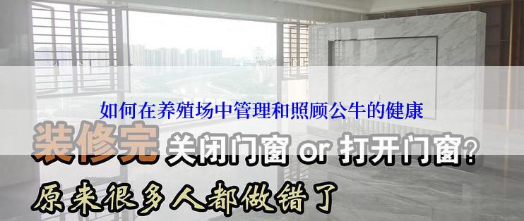 如何在养殖场中管理和照顾公牛的健康