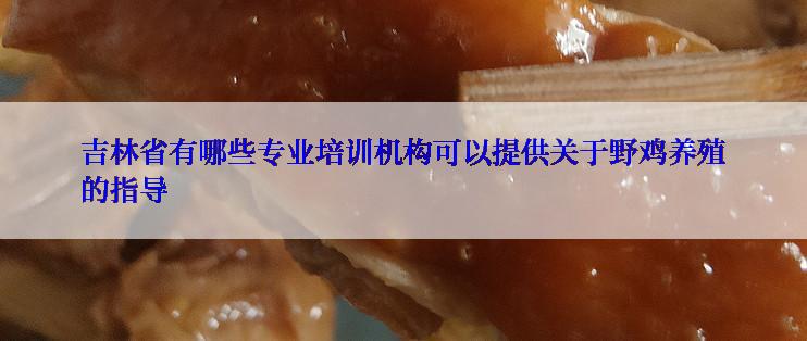 吉林省有哪些专业培训机构可以提供关于野鸡养殖的指导