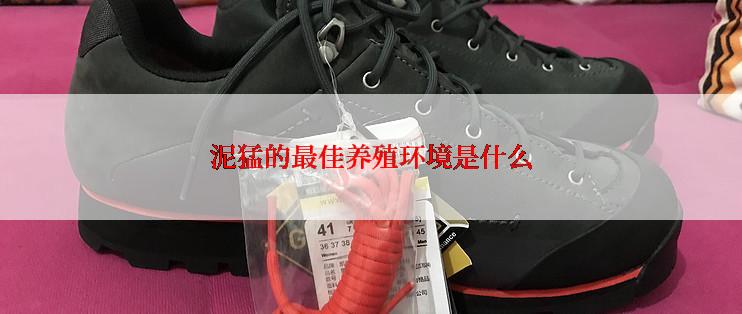 泥猛的最佳养殖环境是什么