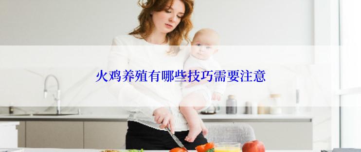 火鸡养殖有哪些技巧需要注意