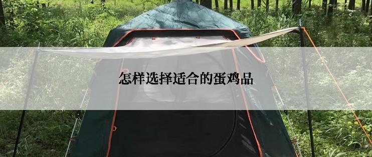 怎样选择适合的蛋鸡品