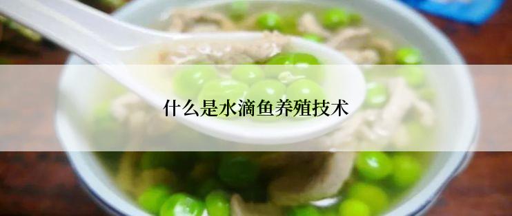 什么是水滴鱼养殖技术