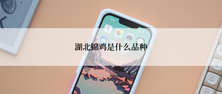 湖北锦鸡是什么品种