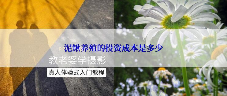 泥鳅养殖的投资成本是多少