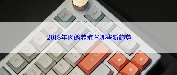  2018年肉鸽养殖有哪些新趋势