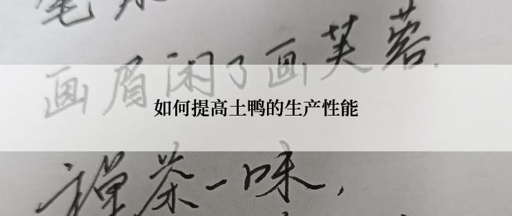 如何提高土鸭的生产性能