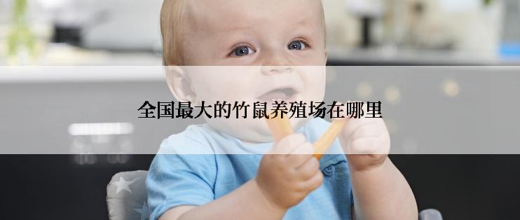 全国最大的竹鼠养殖场在哪里