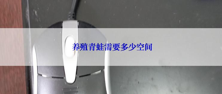  养殖青蛙需要多少空间