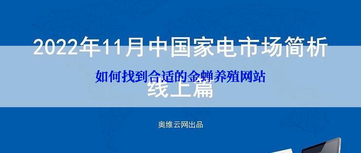 如何找到合适的金蝉养殖网站