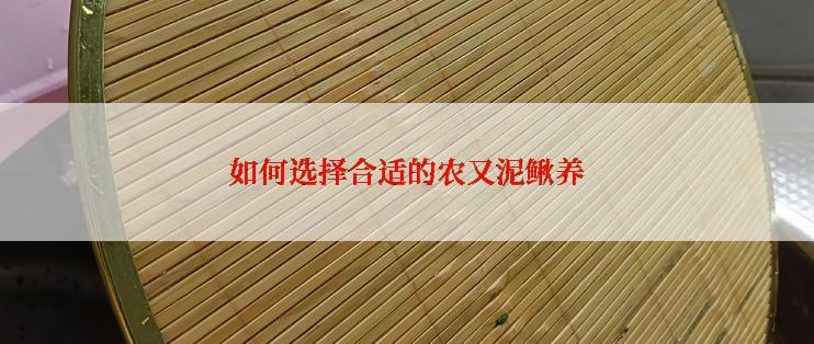 如何选择合适的农又泥鳅养