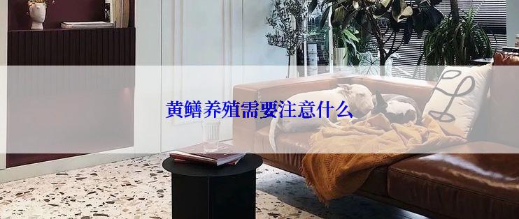 黄鳝养殖需要注意什么