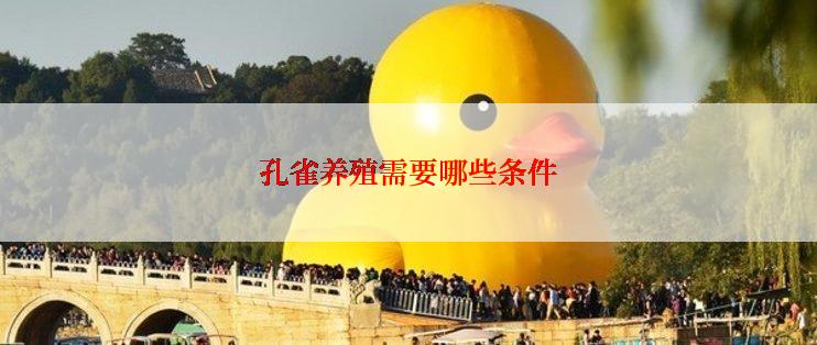 孔雀养殖需要哪些条件