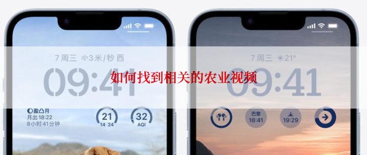如何找到相关的农业视频