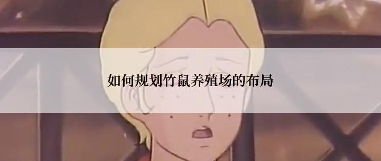 如何规划竹鼠养殖场的布局