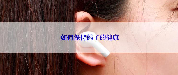  如何保持鸽子的健康