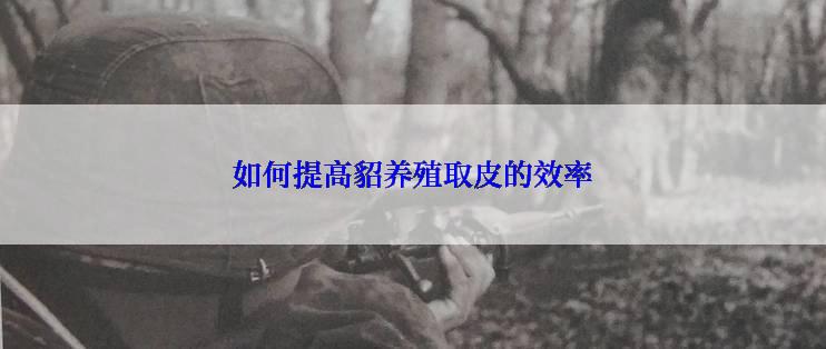 如何提高貂养殖取皮的效率