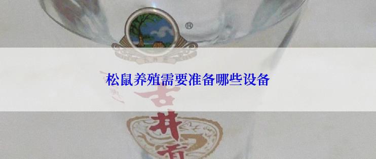 松鼠养殖需要准备哪些设备