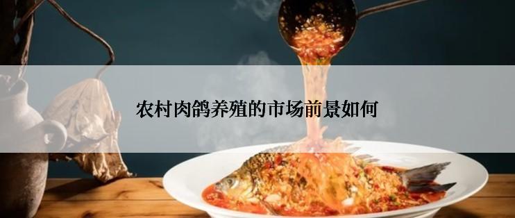 农村肉鸽养殖的市场前景如何