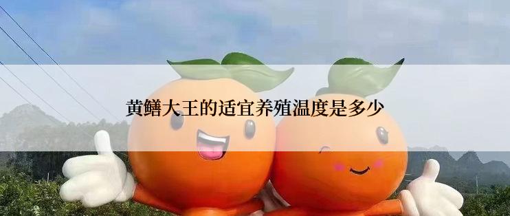 黄鳝大王的适宜养殖温度是多少