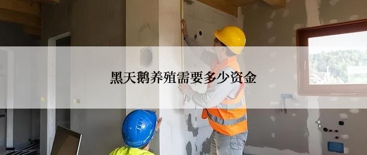 黑天鹅养殖需要多少资金